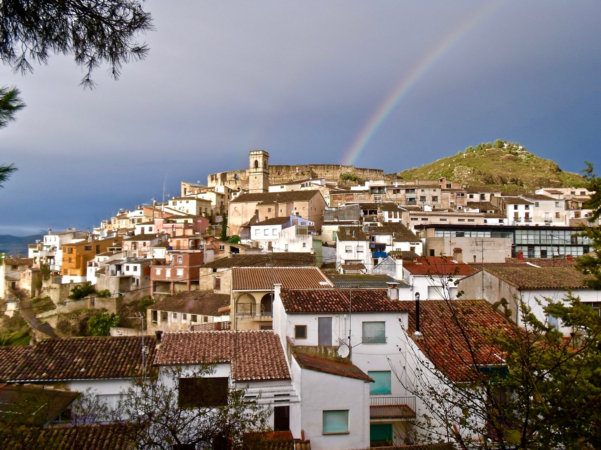 Planes de la Baronía Viper Rent a Car